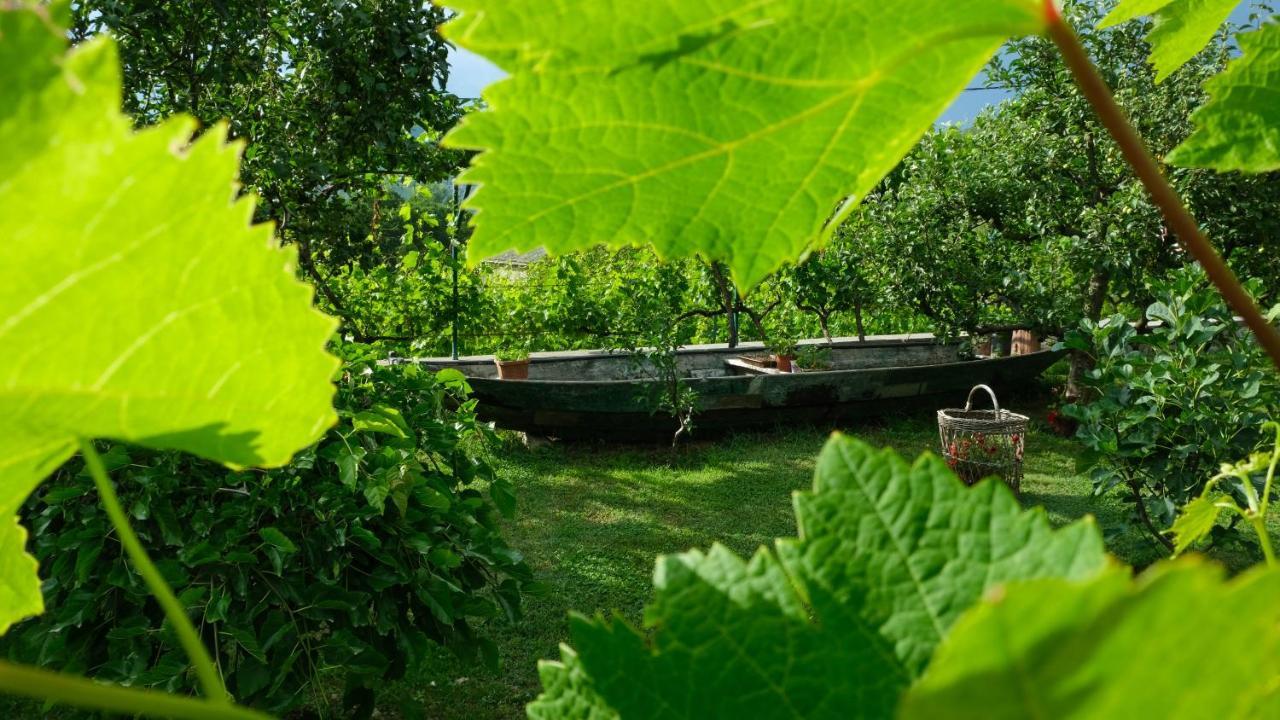 Casa di campagna Djurisic Virpazar