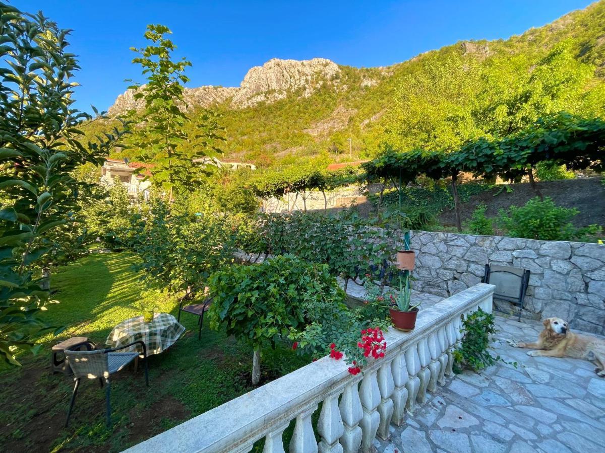Casa di campagna Djurisic *