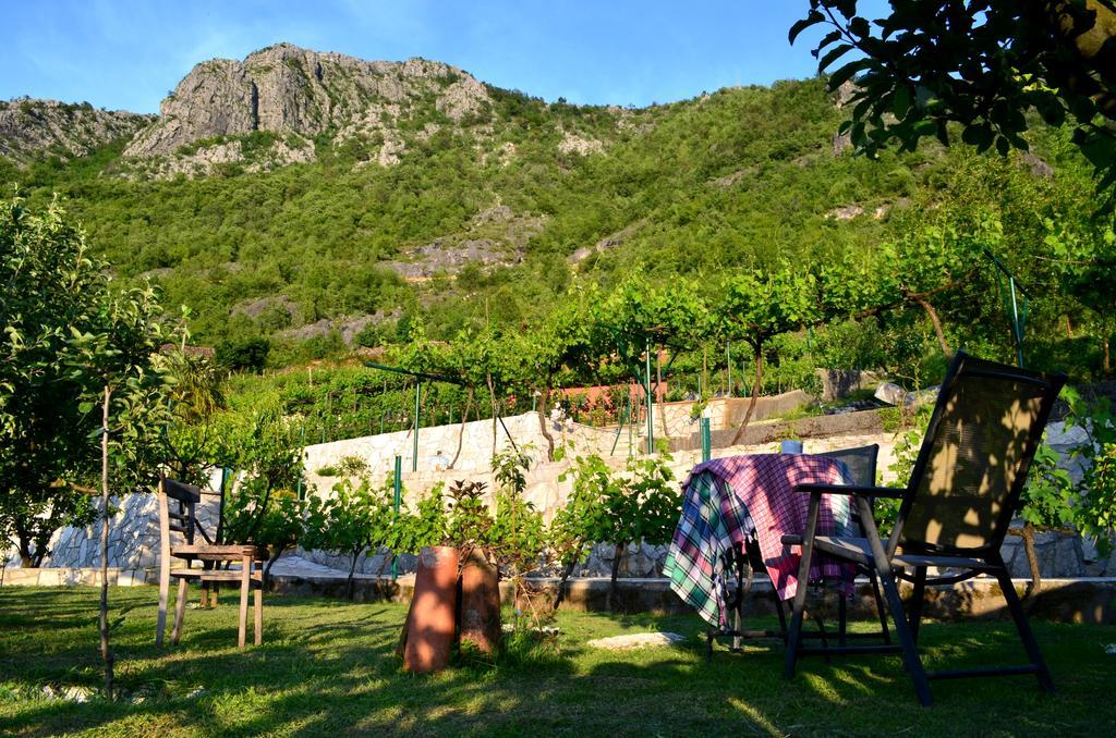 Casa di campagna Djurisic *