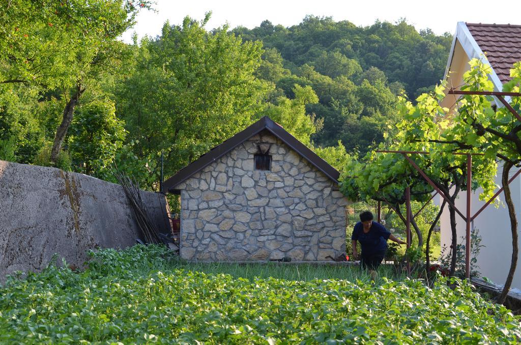 Djurisic Virpazar