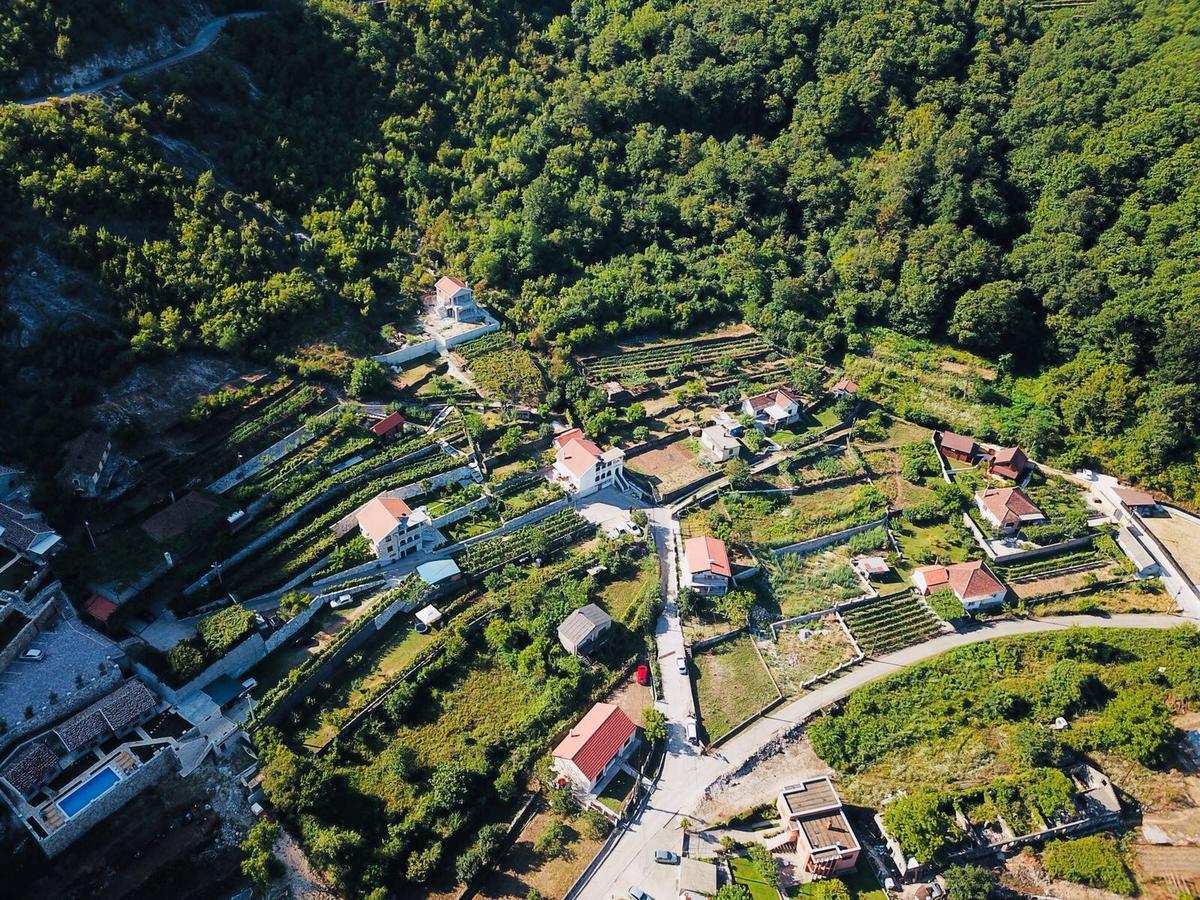 Djurisic Casa di campagna